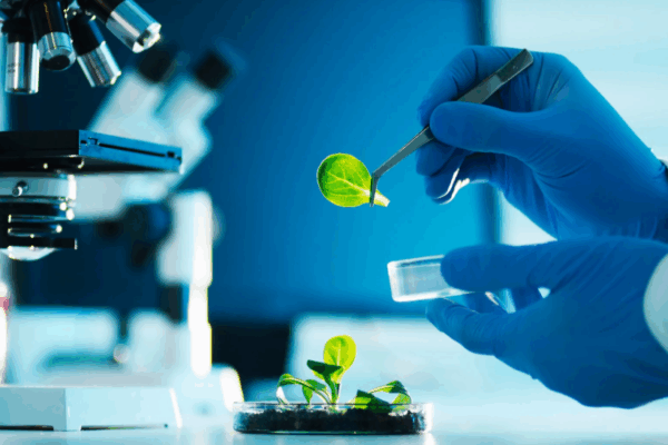 Biotecnologie: innovazioni che stanno cambiando la nostra vita quotidiana