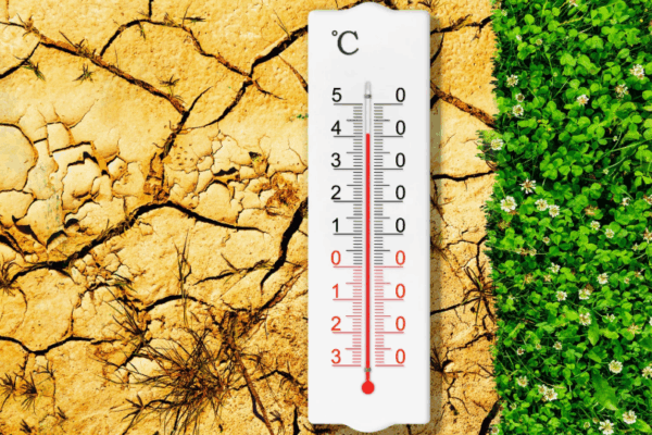 Cambiamento climatico: soluzioni tecnologiche per ridurre l’impatto ambientale